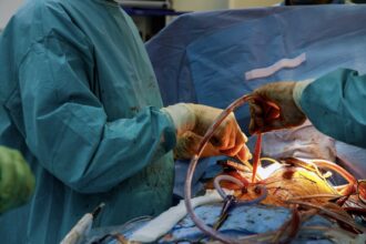 Conditions Treated With Minimally Invasive Heart Surgery
