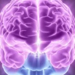 The Role of a Neurologist in Diagnosing and Treating Neurological Disorders