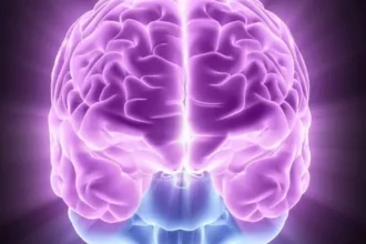 The Role of a Neurologist in Diagnosing and Treating Neurological Disorders