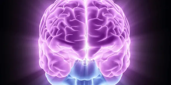 The Role of a Neurologist in Diagnosing and Treating Neurological Disorders