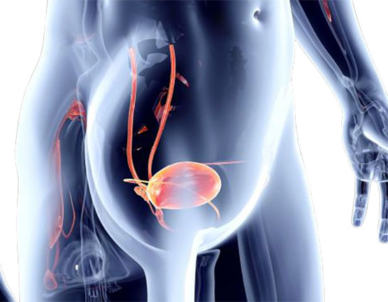 Why Would You Be Referred to Oncology?