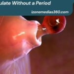 Can You Ovulate Without a Period