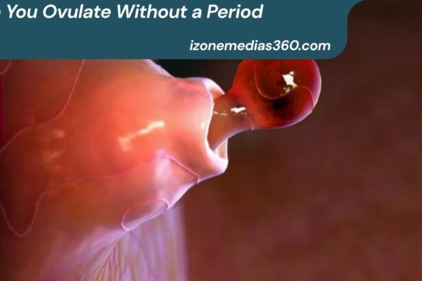 Can You Ovulate Without a Period